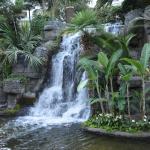 OTRA2014_0876 (August 29, 2014)